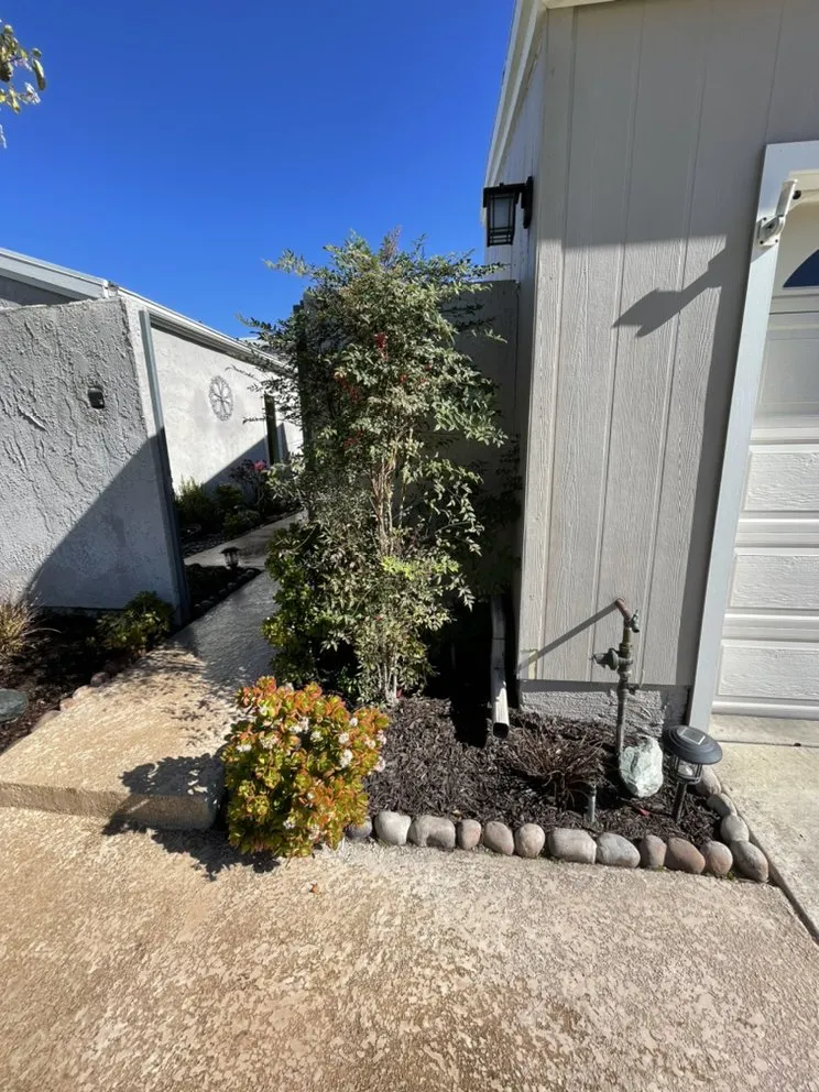 Affordable residential landscaping in Santa Ana, CA by Green Land