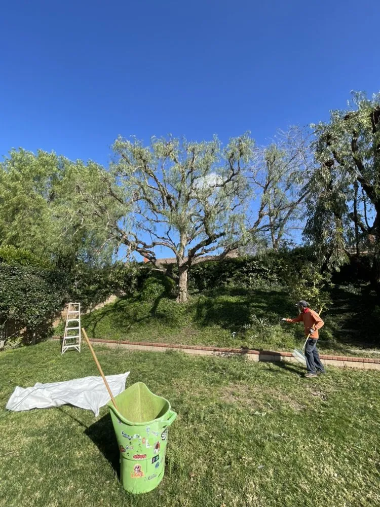 Local lawn mowing service for outdoor upgrades across Santa Ana, CA - Green Land