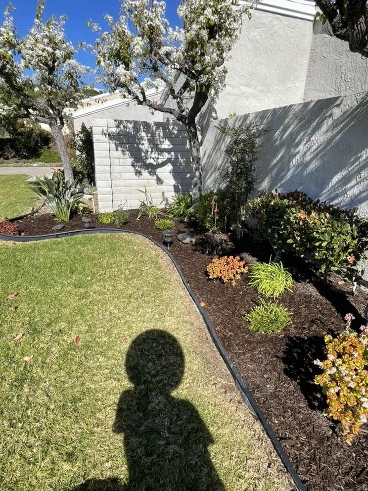 Expert lawn mowing service in Santa Ana, CA by Green Land