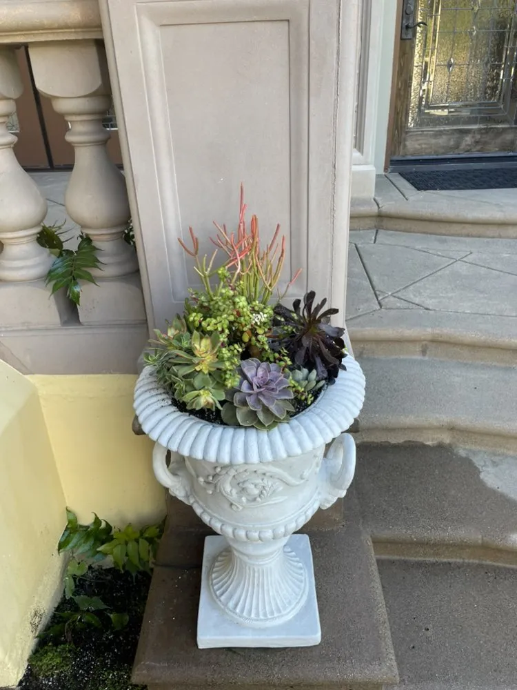 Affordable garden landscaping experts serving Santa Ana, CA - Green Land