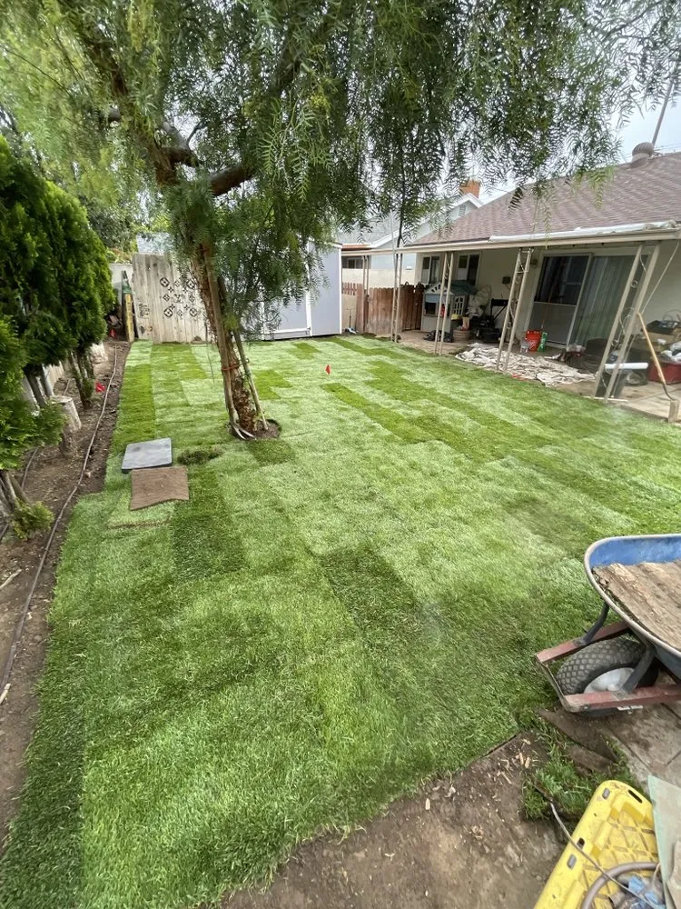 Trusted residential landscaping experts serving Santa Ana, CA - Green Land