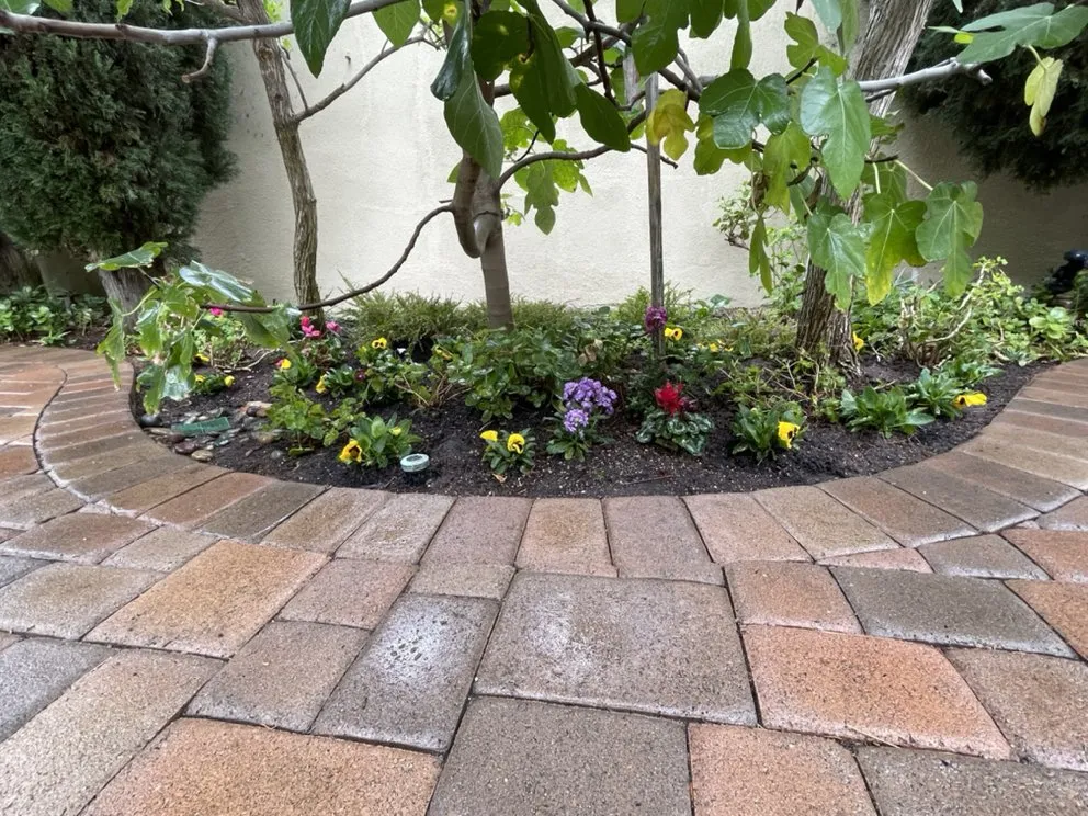 Trusted landscape design in Santa Ana, CA - Green Land