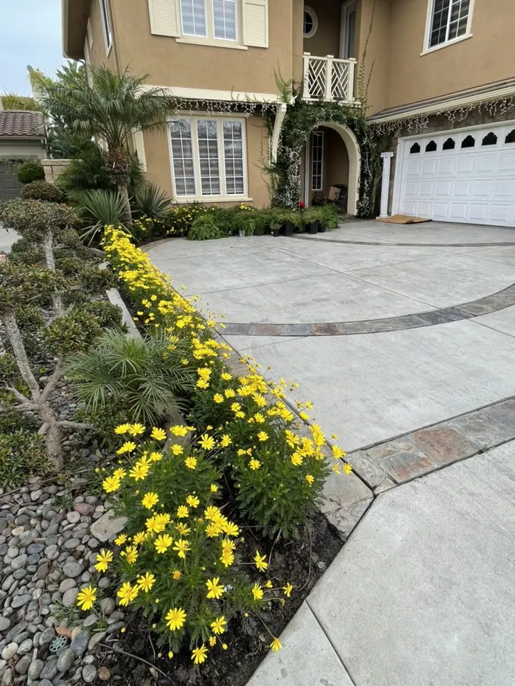 Professional yard cleanup service experts serving Santa Ana, CA - Green Land