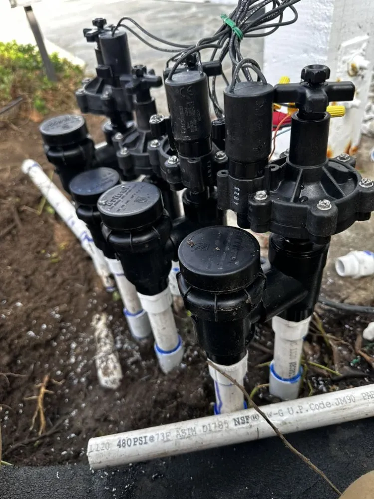 Professional landscape design experts serving Santa Ana, CA - Green Land