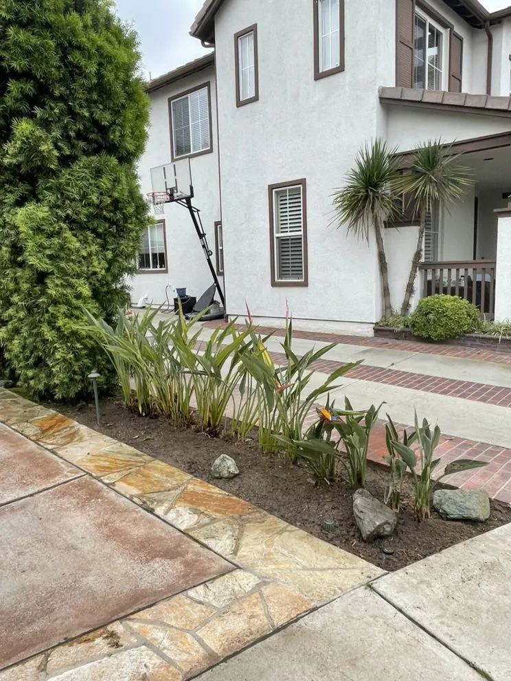 Local lawn mowing service experts serving Santa Ana, CA - Green Land