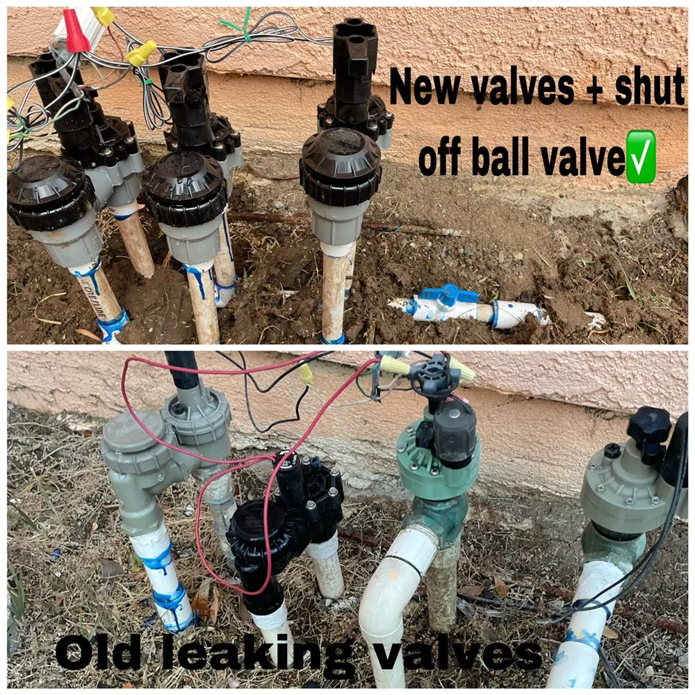 Affordable landscaping services experts serving Santa Ana, CA - Green Land