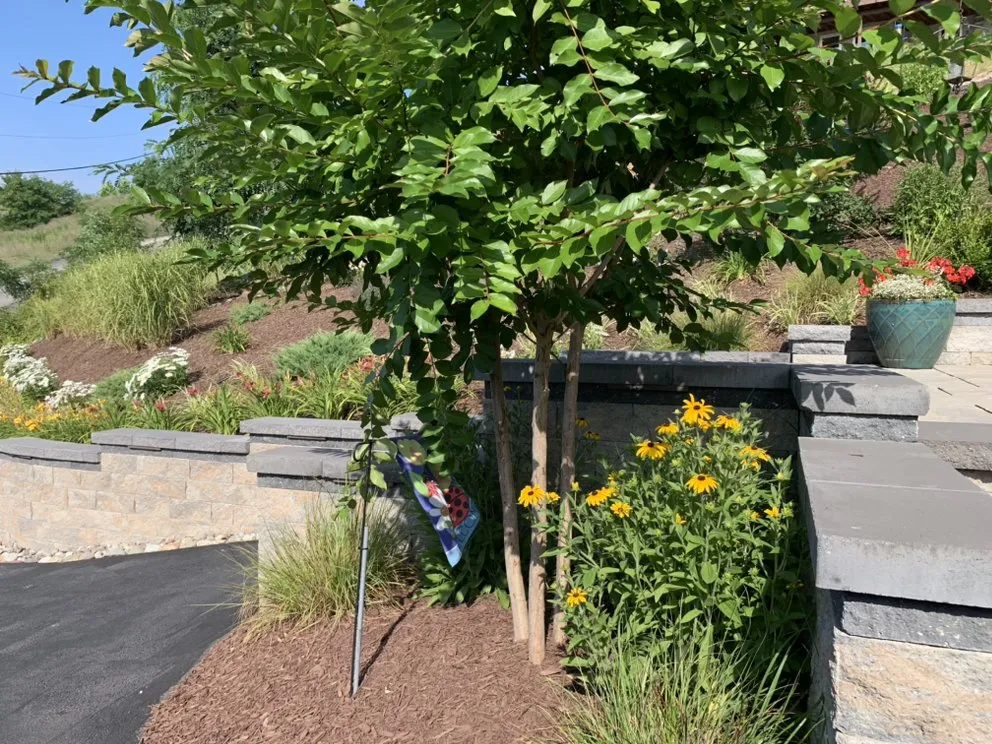 Professional residential landscaping for residential properties in Alexandria, VA by Green Landscape