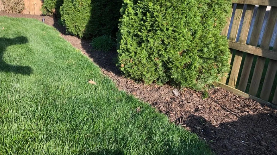Expert landscaping services experts serving Alexandria, VA - Green Landscape