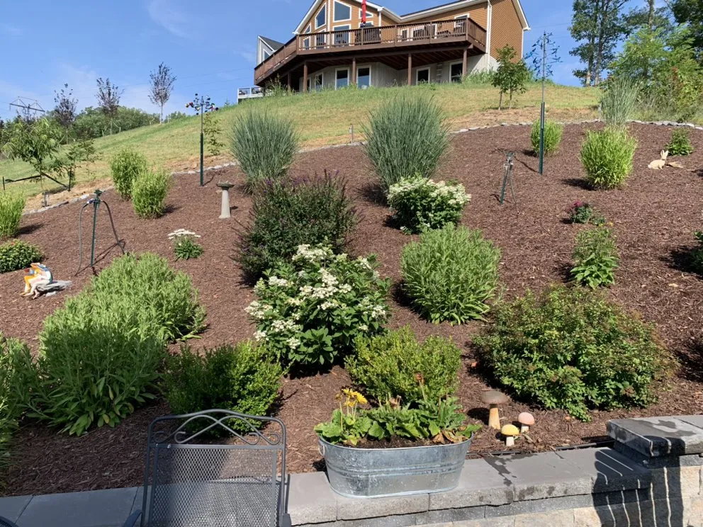 Custom yard cleanup service for outdoor upgrades across Alexandria, VA - Green Landscape