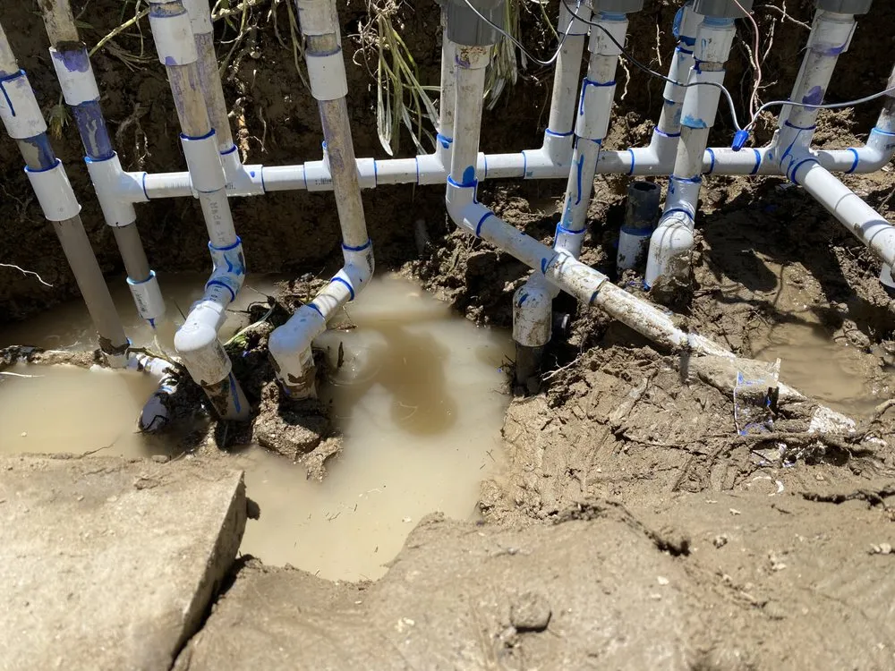 Custom lawn care service for beautiful yards in Beaumont, CA by Green Landscape and Irrigation Services