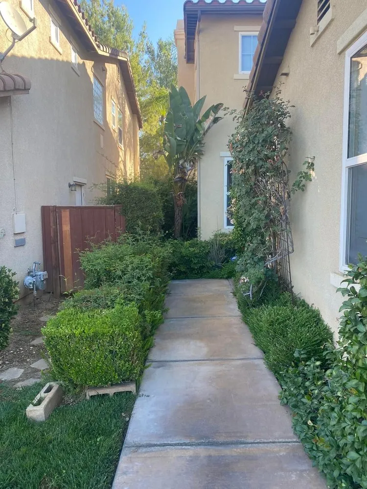 Custom yard maintenance for beautiful yards across Beaumont, CA - Green Landscape and Irrigation Services