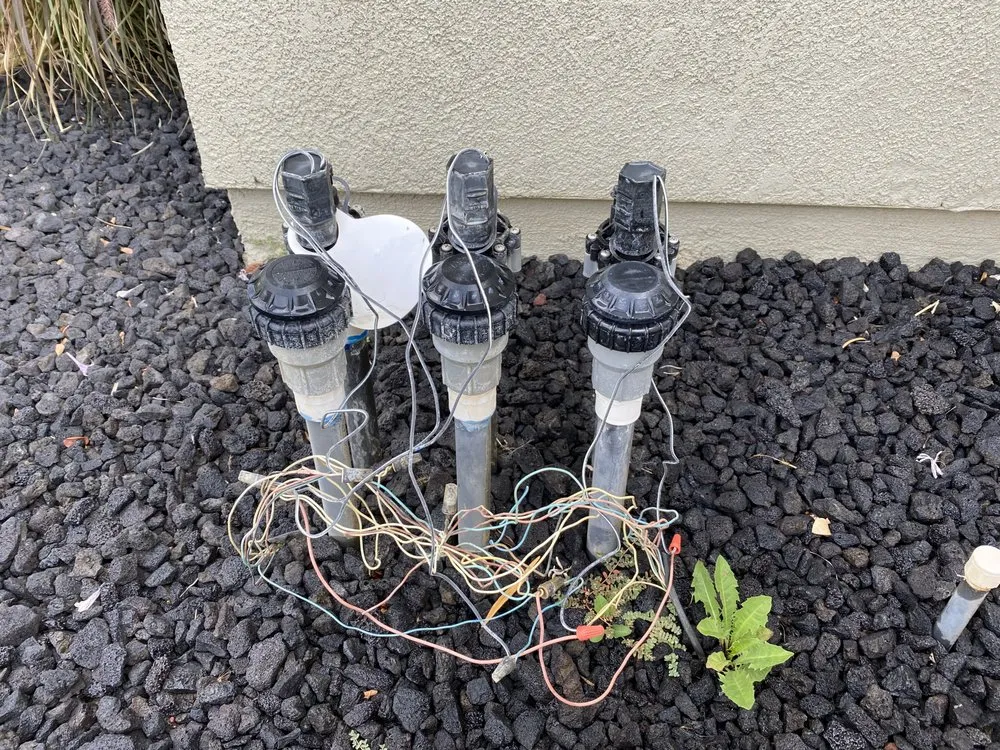 Local yard cleanup service in Beaumont, CA - Green Landscape and Irrigation Services