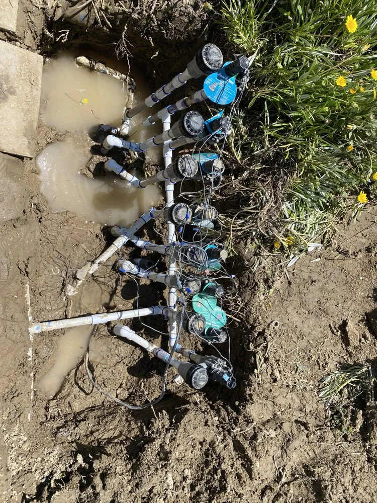 Expert residential landscaping in Beaumont, CA by Green Landscape and Irrigation Services