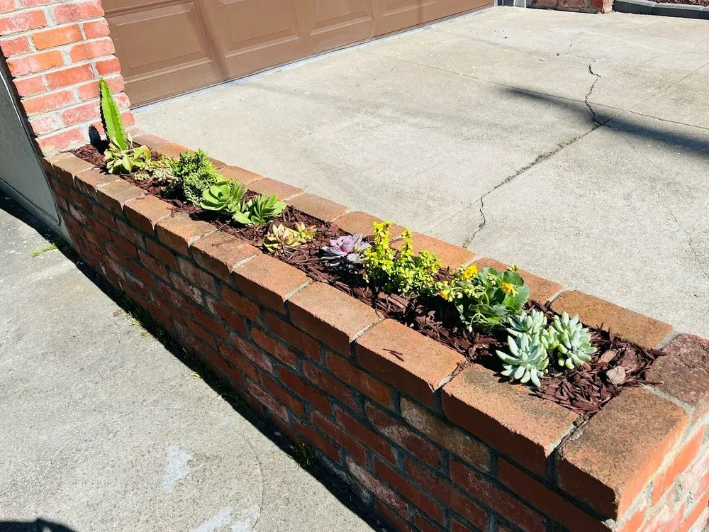 Reliable yard maintenance for residential properties across San Francisco, CA - Green Landscape Construction