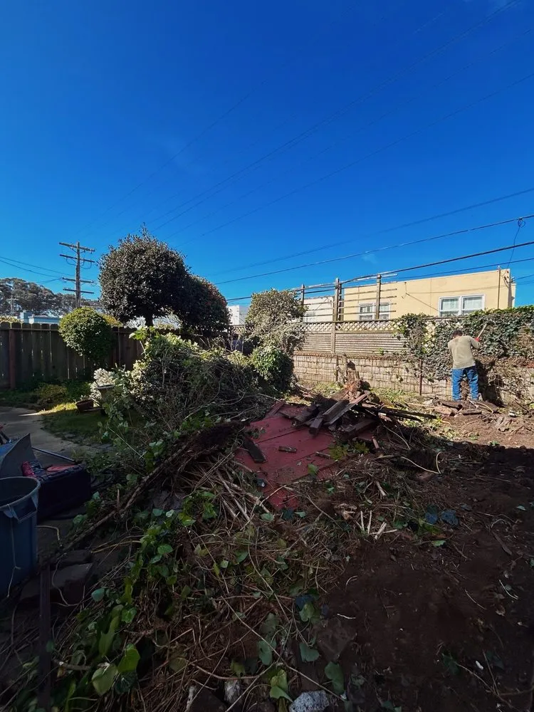 Affordable yard maintenance in San Francisco, CA by Green Landscape Construction