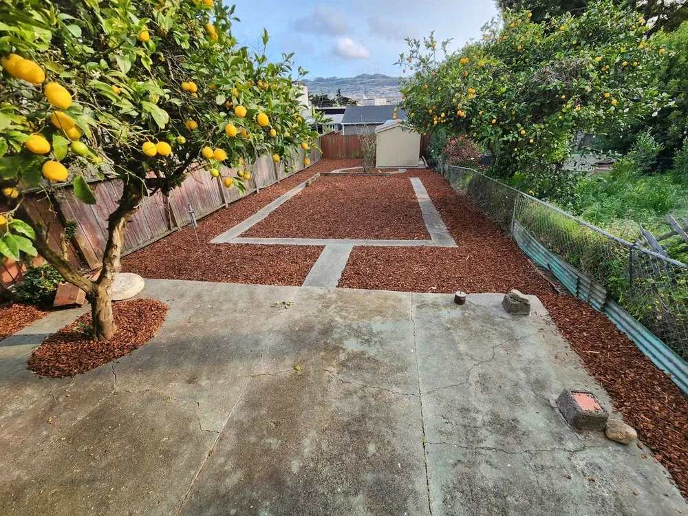 Local landscape installation near you across San Francisco, CA - Green Landscape Construction