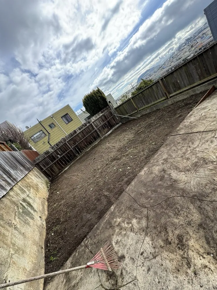 Trusted landscape design in San Francisco, CA by Green Landscape Construction