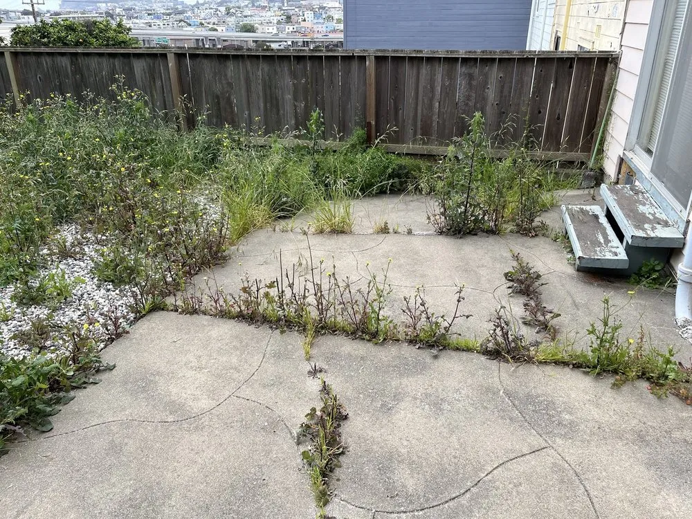 Local landscape installation for beautiful yards in San Francisco, CA by Green Landscape Construction