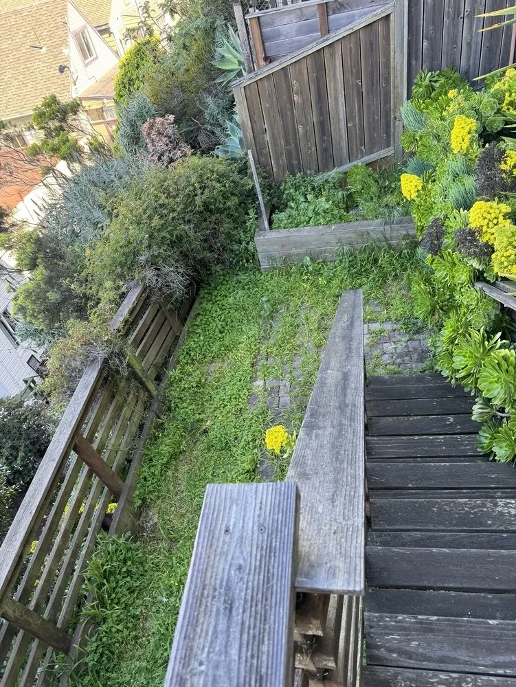 Trusted yard maintenance experts serving San Francisco, CA - Green Landscape Construction