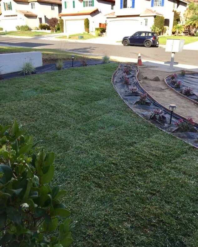 Reliable yard cleanup service in Corona, CA - Green Landscape