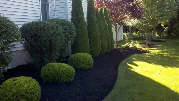 Expert yard cleanup service in Murfreesboro, TN by Green Landscape