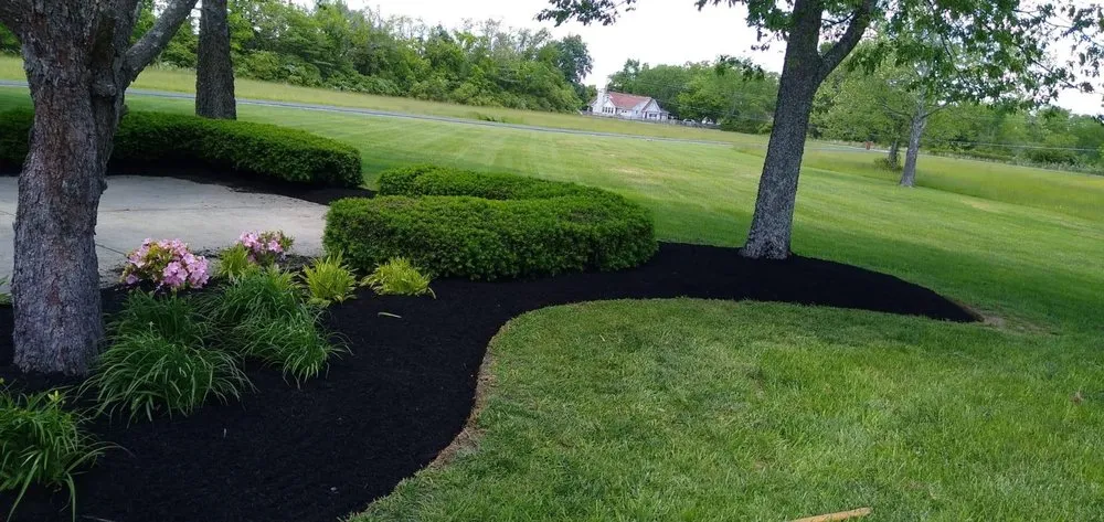 Professional yard cleanup service for residential properties across Murfreesboro, TN - Green Landscape