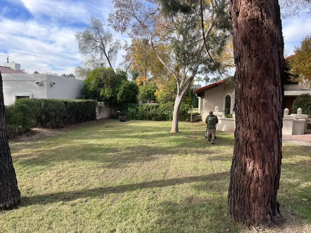 Local landscape installation experts serving Surprise, AZ - Green Landscape Services