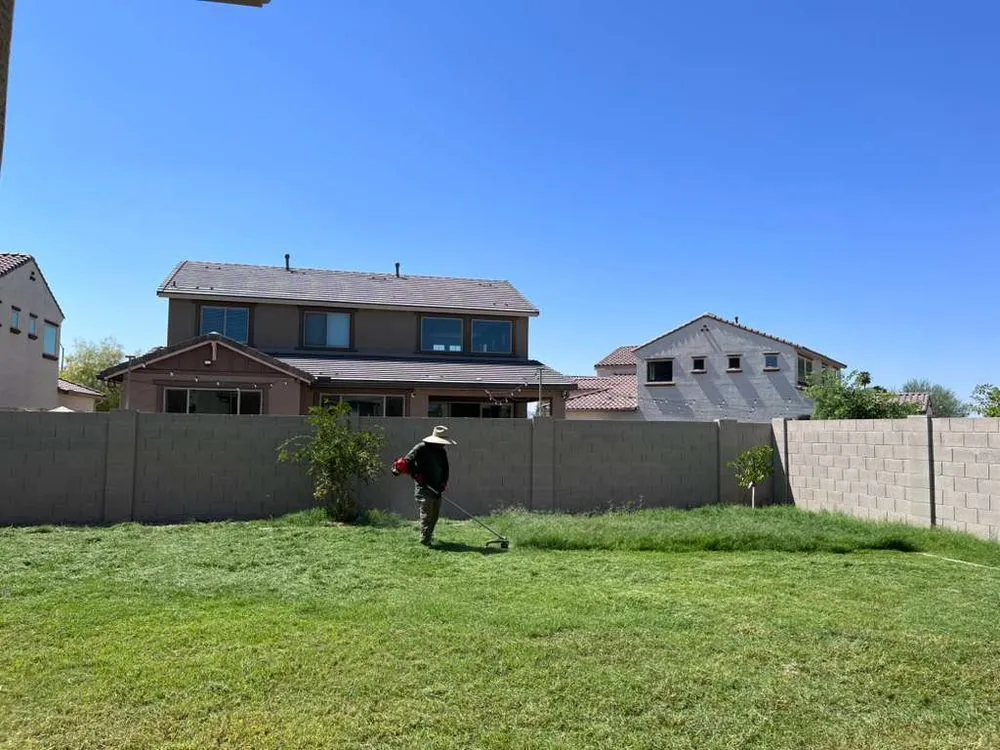 Reliable yard cleanup service in Surprise, AZ by Green Landscape Services