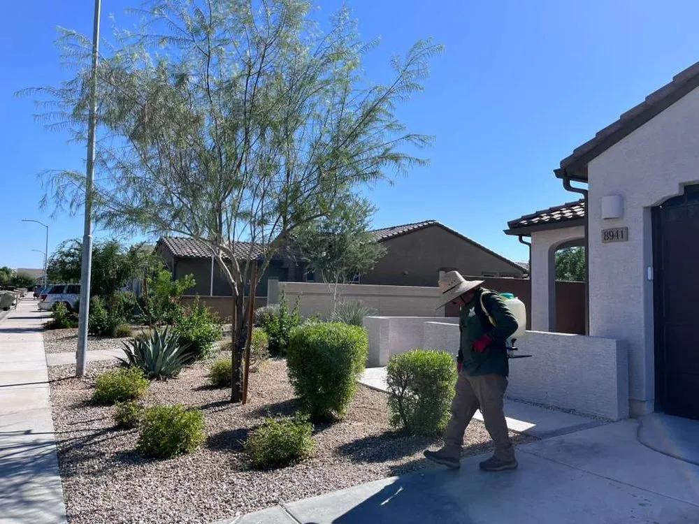 Top-rated yard maintenance in Surprise, AZ - Green Landscape Services