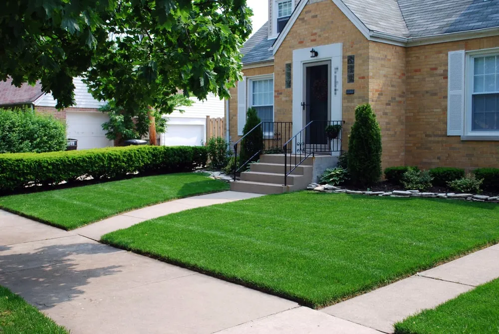 Top-rated landscape design for beautiful yards in Chicago, IL by Green Landscape Solutions