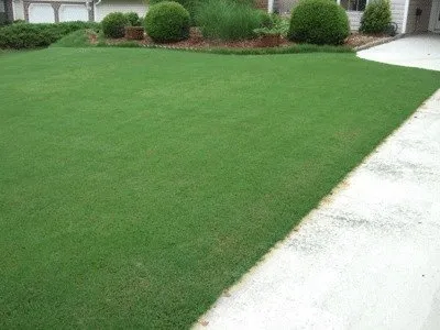 Professional landscape installation experts serving Peachtree Corners, GA - Green Landscape Supply