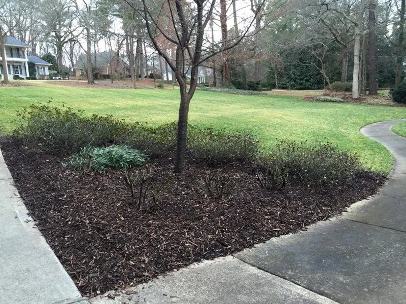 Local lawn care service in Peachtree Corners, GA - Green Landscape Supply