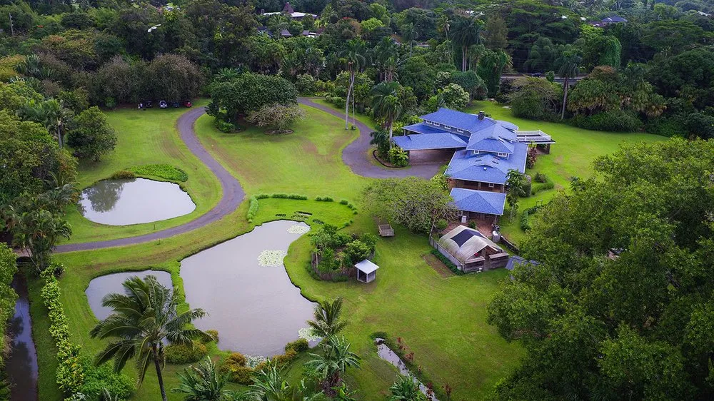 Expert lawn care service experts serving Hanalei, HI - Green Landscapes Kauai
