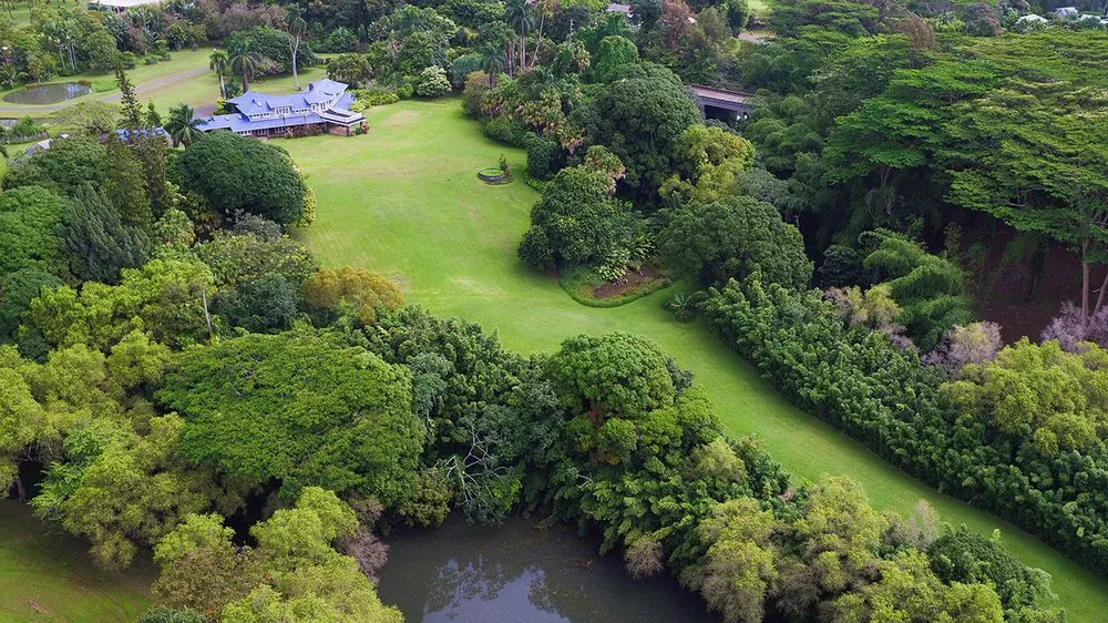 Professional yard cleanup service experts serving Hanalei, HI - Green Landscapes Kauai