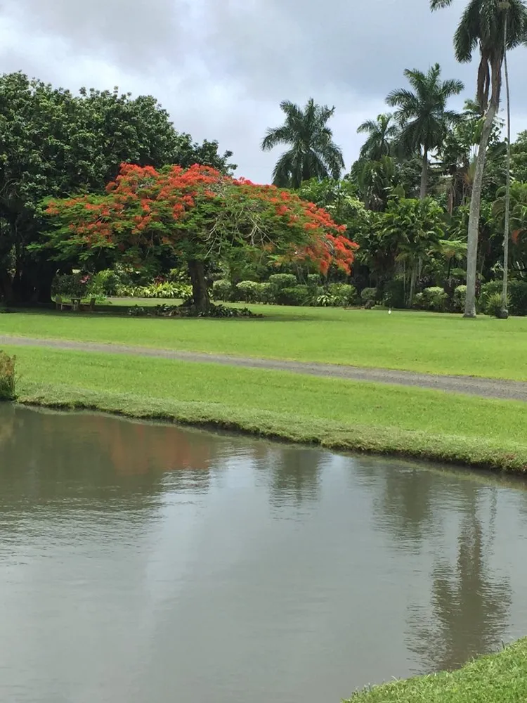 Top-rated residential landscaping in Hanalei, HI - Green Landscapes Kauai
