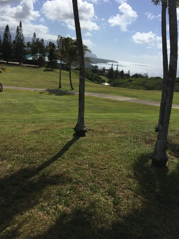 Professional outdoor landscaping near you across Hanalei, HI - Green Landscapes Kauai