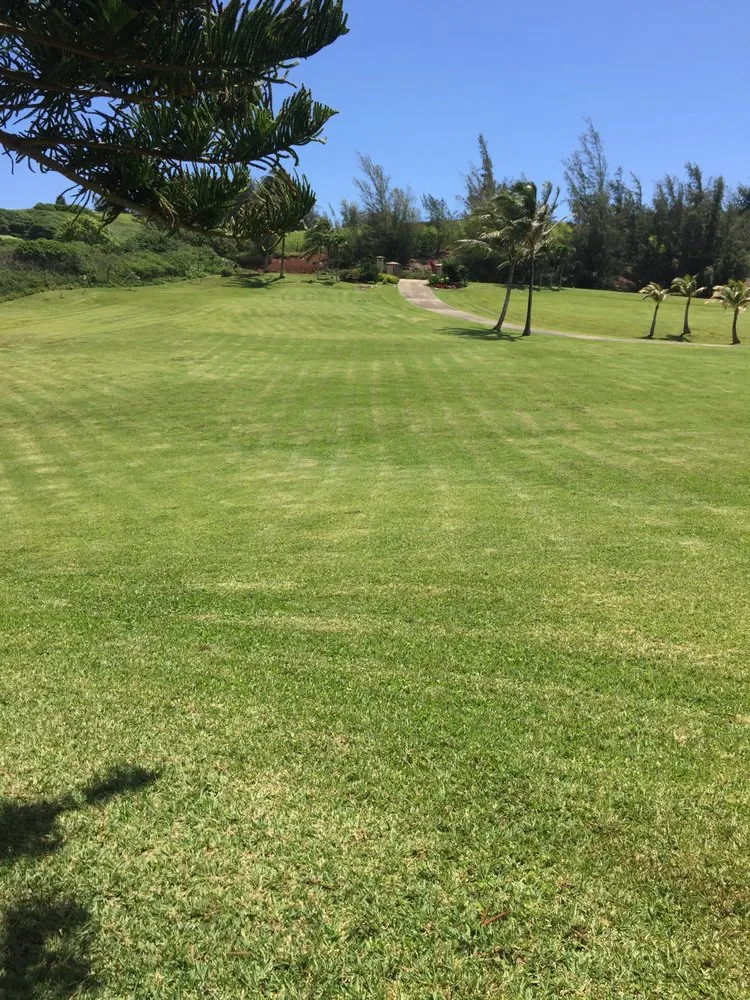 Reliable lawn mowing service experts serving Hanalei, HI - Green Landscapes Kauai