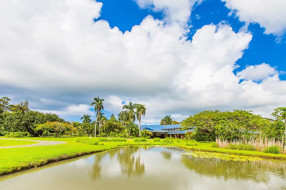 Expert outdoor landscaping experts serving Hanalei, HI - Green Landscapes Kauai