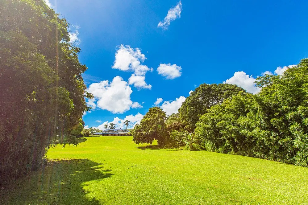 Professional lawn mowing service for residential properties in Hanalei, HI by Green Landscapes Kauai