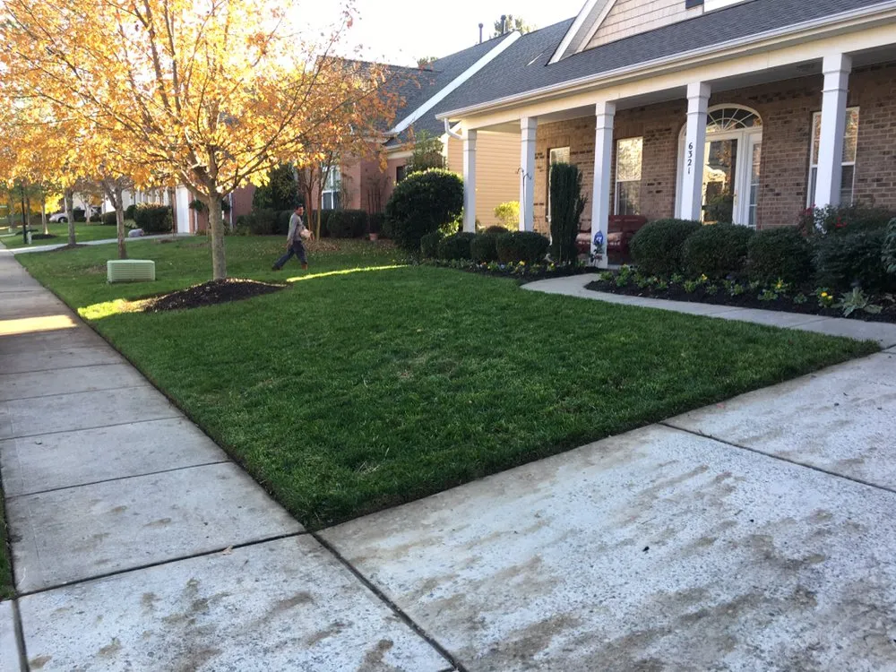 Local yard cleanup service experts serving Charlotte, NC - Green Landscaping