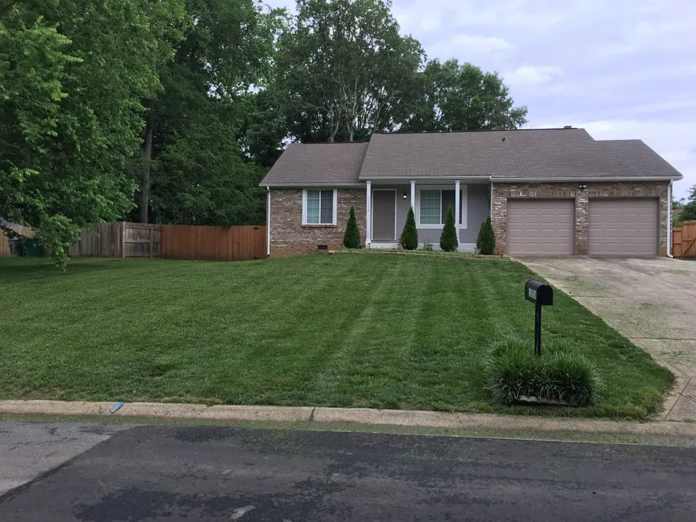 Affordable yard cleanup service in Charlotte, NC by Green Landscaping