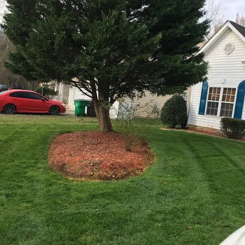 Expert landscaping services for outdoor upgrades in Charlotte, NC by Green Landscaping