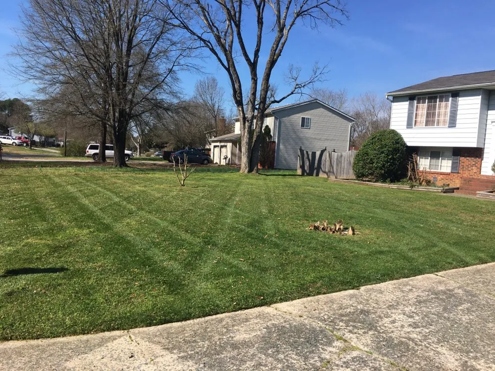 Custom landscape design in Charlotte, NC by Green Landscaping