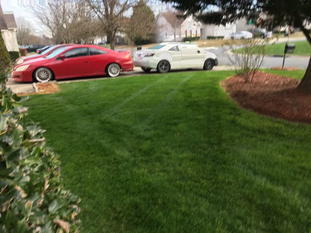 Local landscaping services with custom design across Charlotte, NC - Green Landscaping