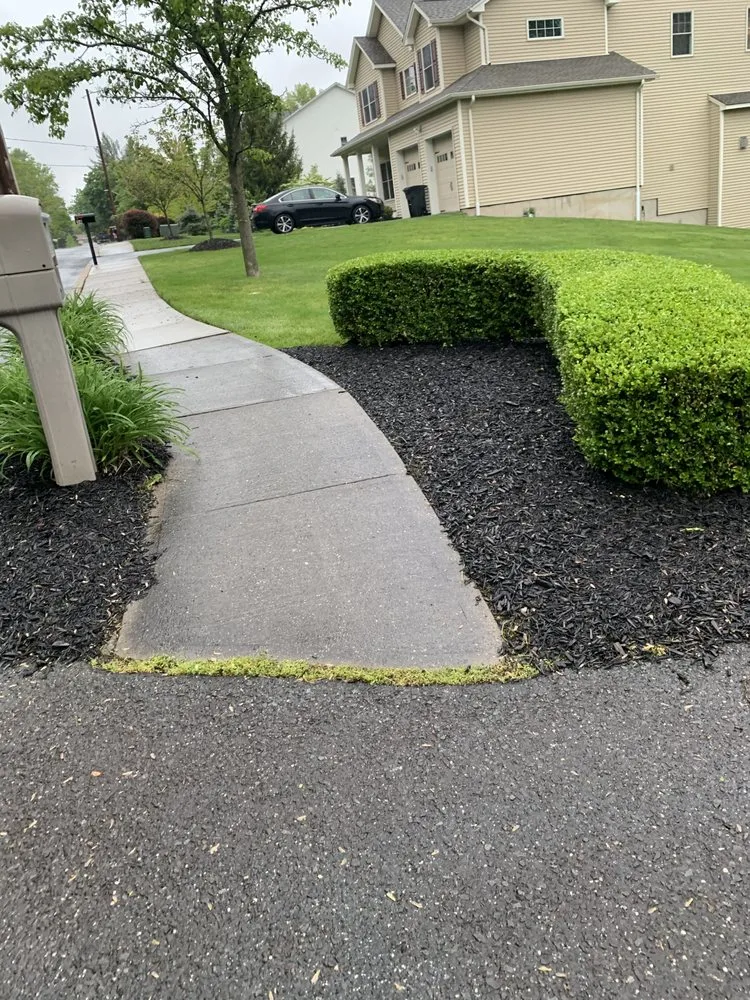 Reliable yard cleanup service in Haverstraw, NY by Green Landscaping