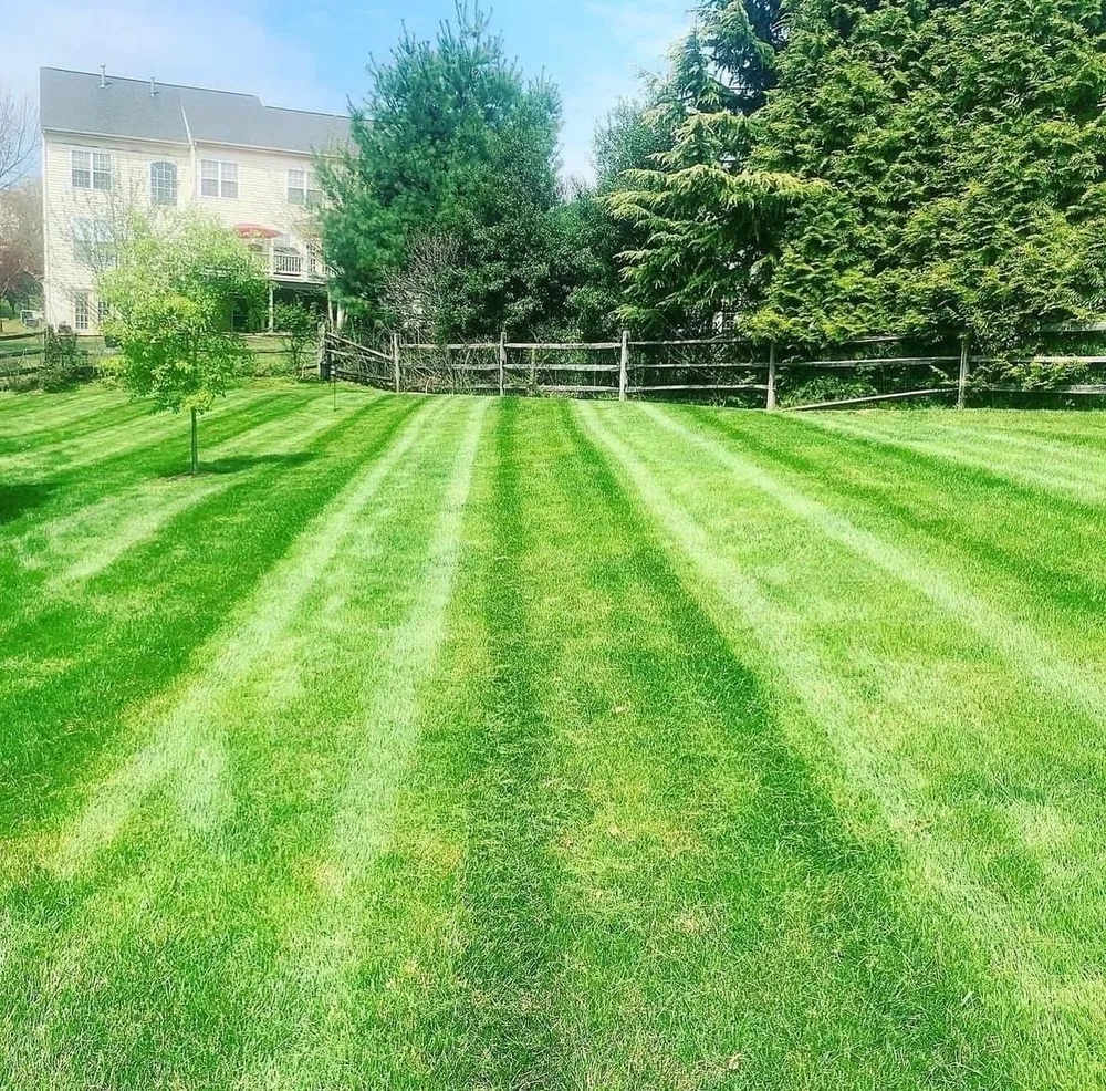 Reliable landscaping services in Haverstraw, NY - Green Landscaping