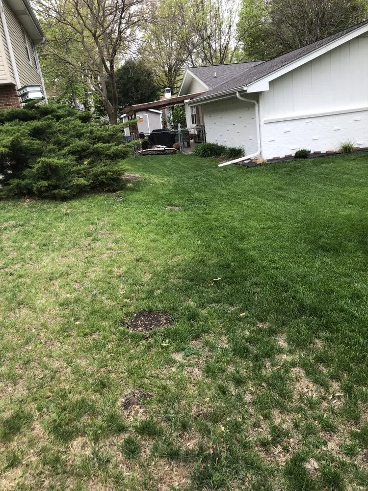 Custom yard maintenance experts serving Lincoln, NE - Green Landscaping