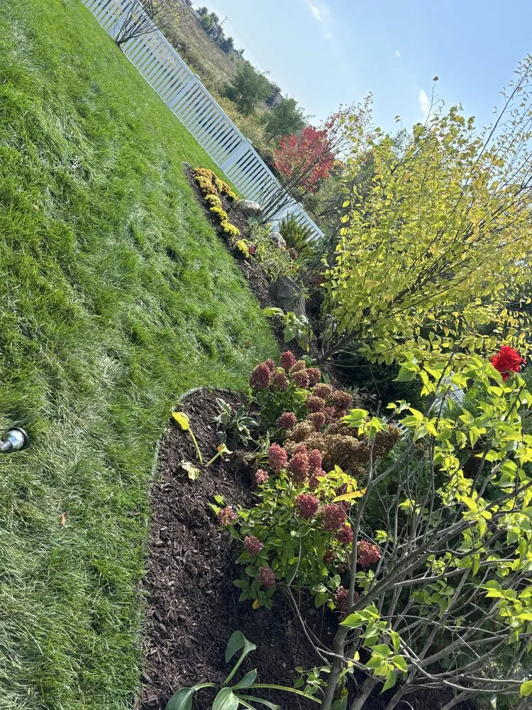 Custom lawn care service in Madison, WI - Green Landscaping