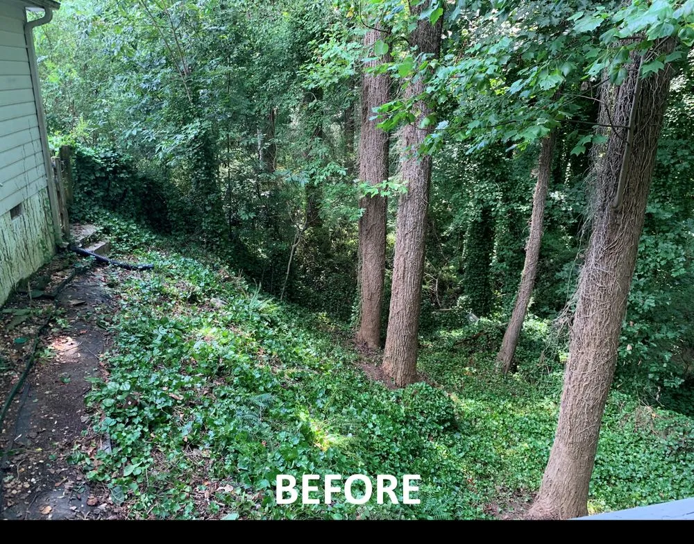 Affordable garden landscaping in Marietta, GA by Green Landscaping