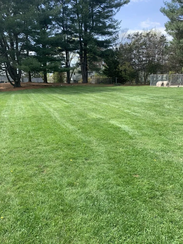 Trusted landscape design experts serving Norwood, MA - Green Landscaping